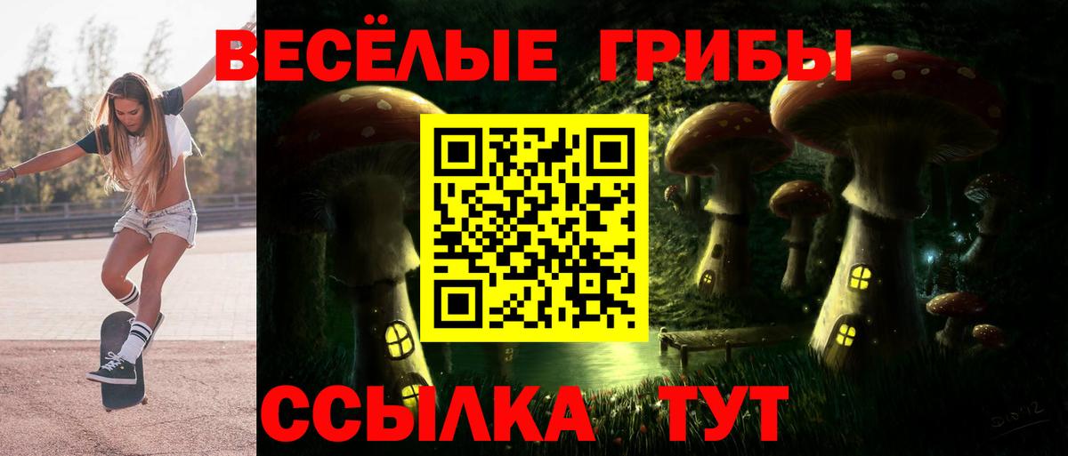 Псилоцибиновые грибы Psilocybine cubensis  Галлюциногенные грибы прущие грибы  Ивантеевка  Вход с VPN 